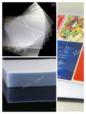 각종 디지털 프린터 HP 남빛/Konica Minolta를 위한 장이 마포 저항하는 Pvc에 의하여 투영했습니다