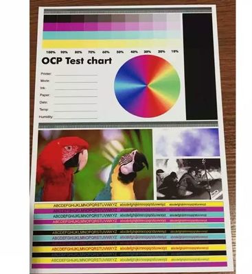 두 배는 인쇄할 수 있는 A4 Pvc 장 고차 색깔 회복으로 편들었습니다