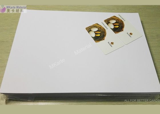 백색 잉크 제트 강한 오줌누는 힘을 가진 인쇄할 수 있는 접착제 Pvc 장